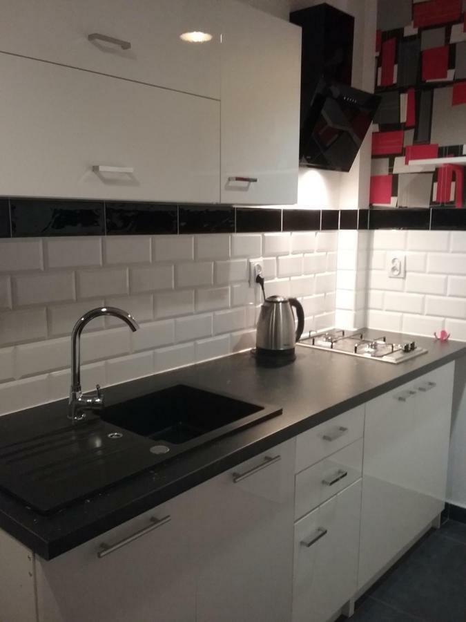 Vintage - Rose Apartament Stary Toruń Esterno foto