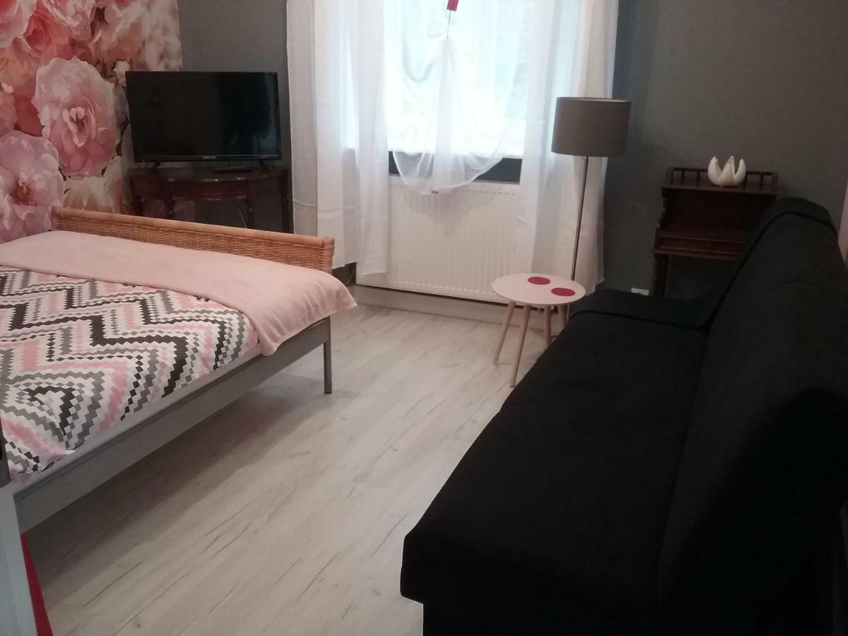 Vintage - Rose Apartament Stary Toruń Esterno foto